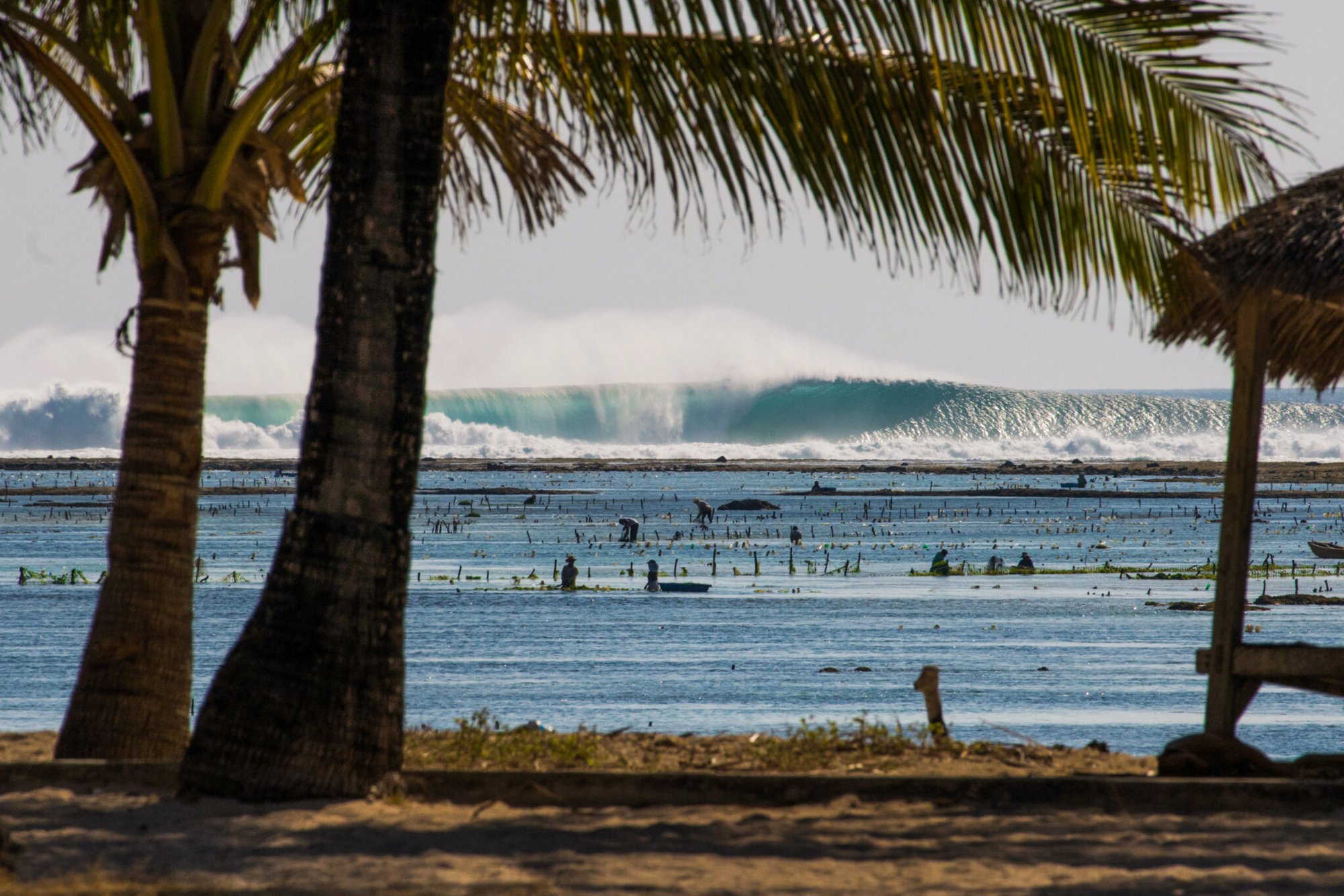 Anugerah Surf and Dive Resort - surf instruction