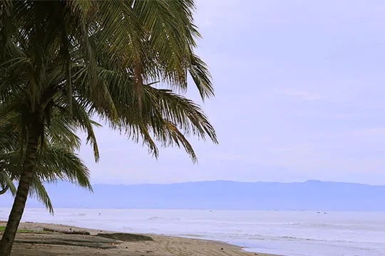 Arya ‘s Surf Camp - surf instruction