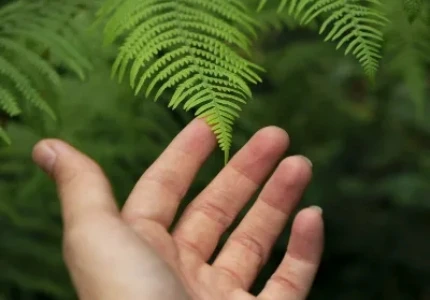 Biosurfcamp - surf instruction