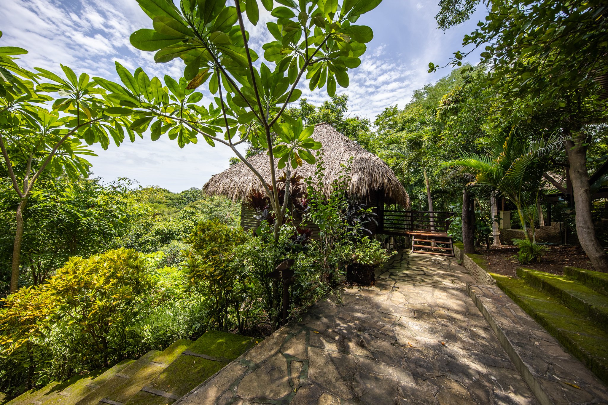 Buena Vista Surf Club - guest accommodation