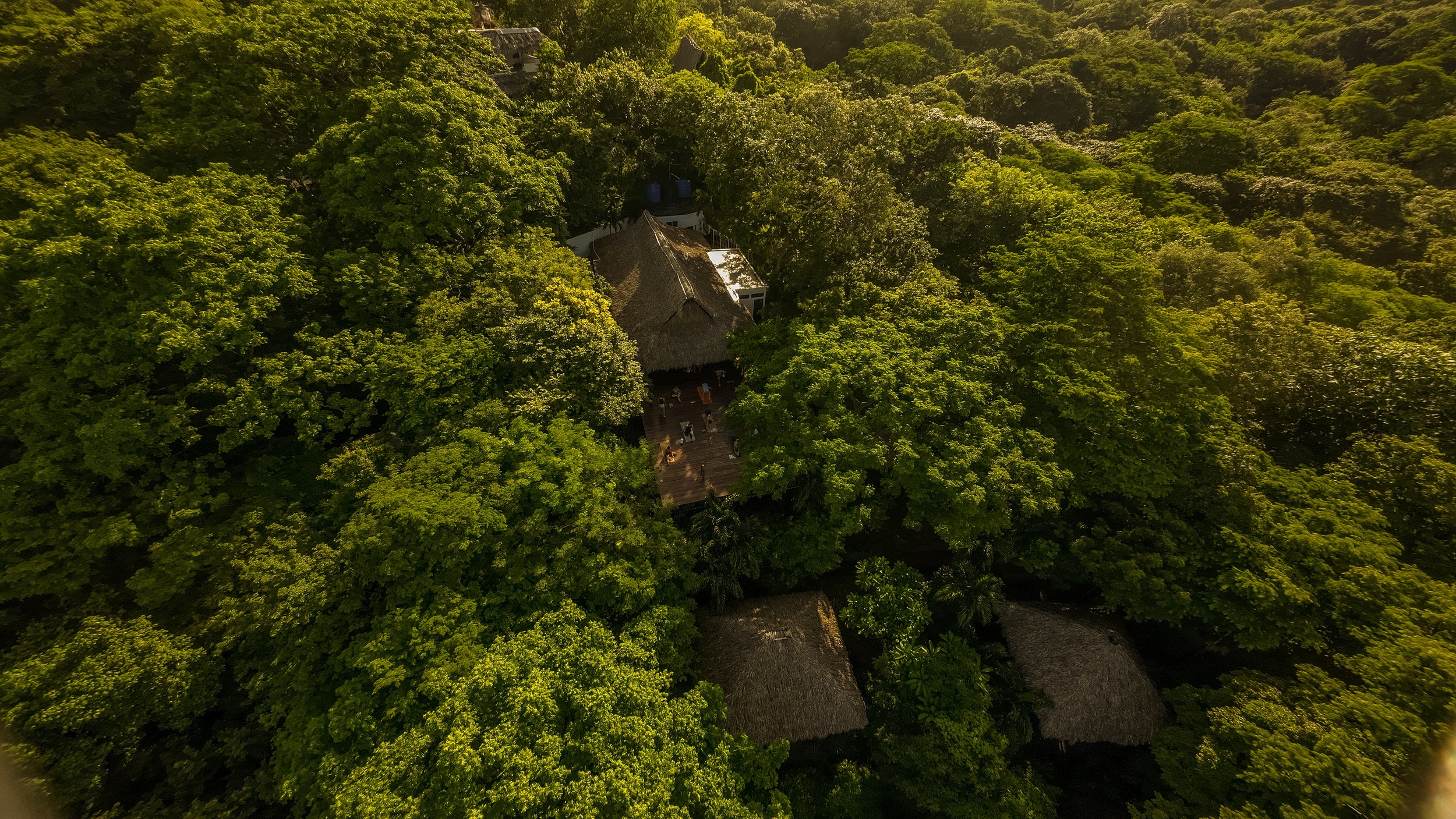 Buena Vista Surf Club