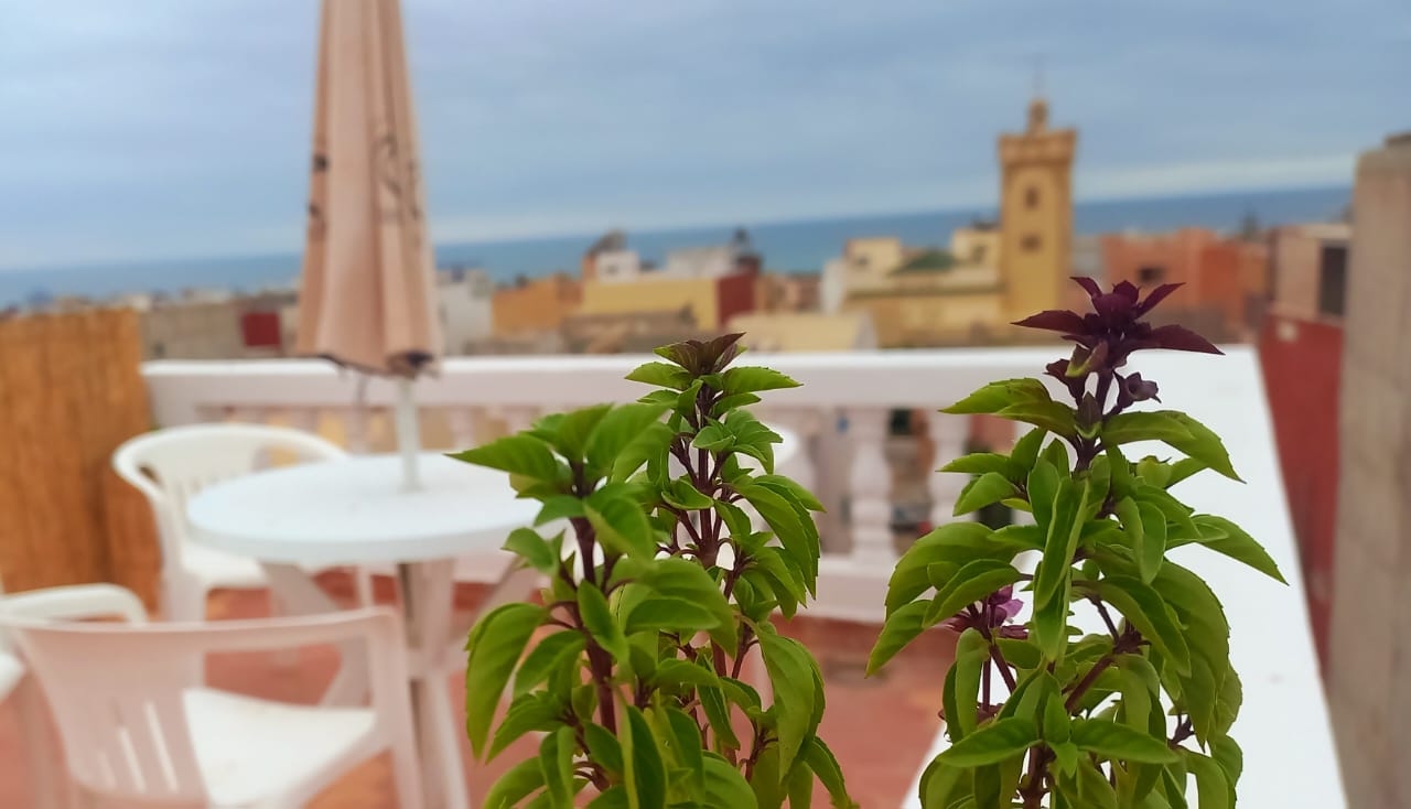 Crocro Surf Maroc - surf instruction