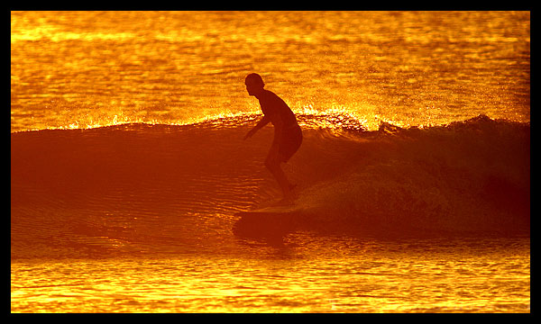 Dale Dagger Surf Lodge - surf instruction