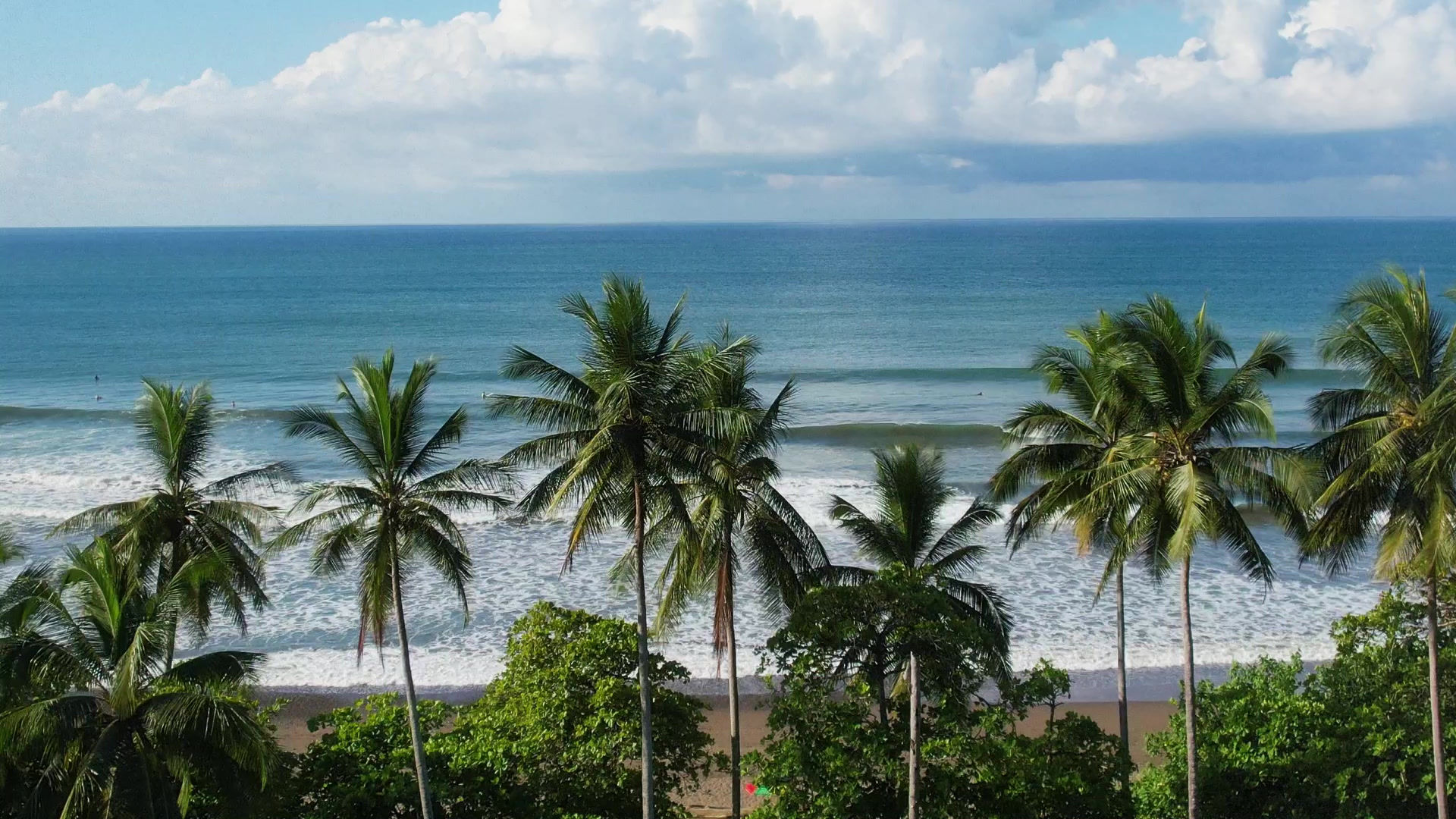 Dominical Surf School