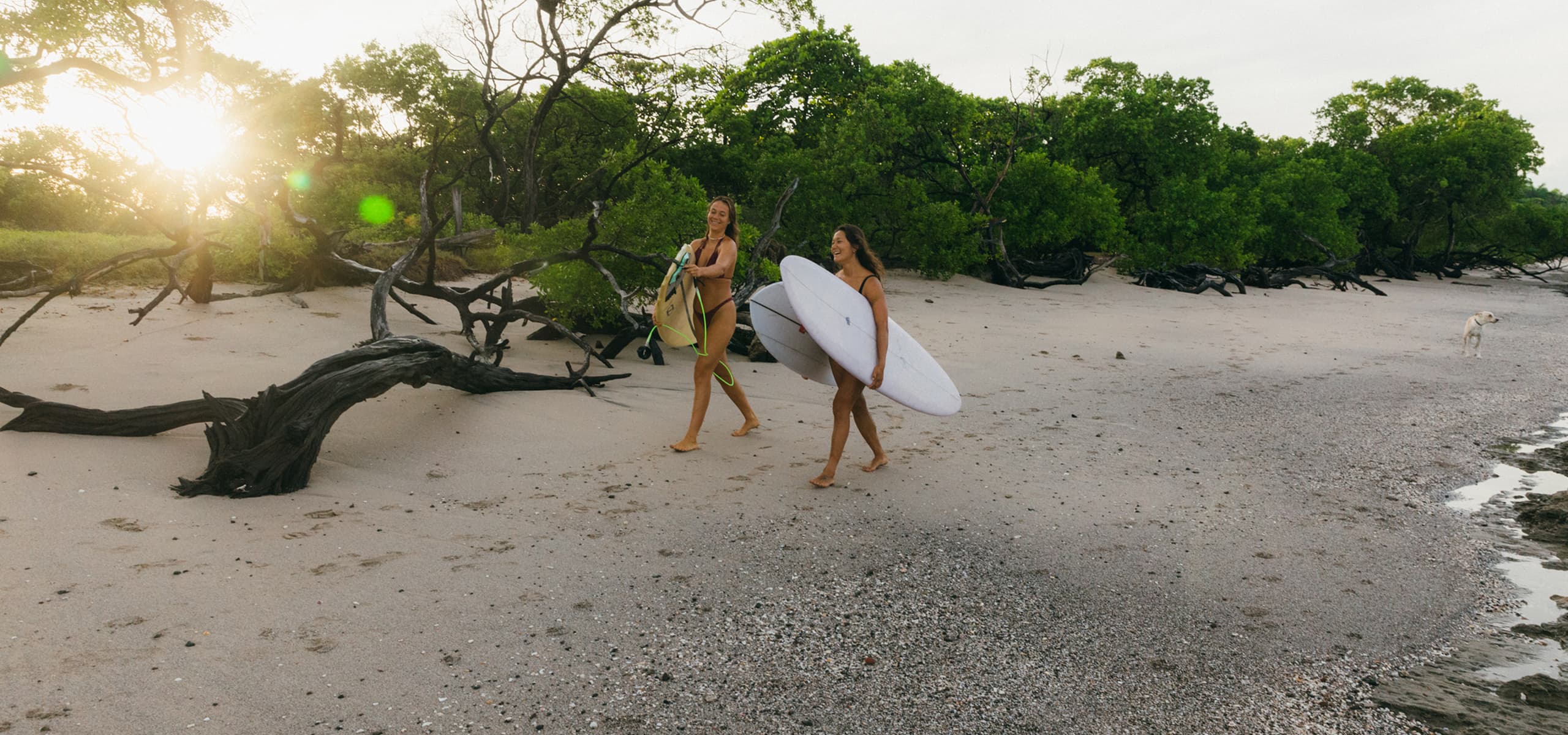 Dream Surf House Avellanas