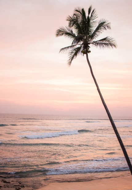 Dreamsea Surf Camp Alentejo