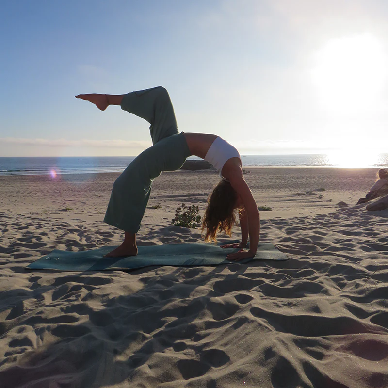 ElementFish Kite & Surf Camp - beachfront location