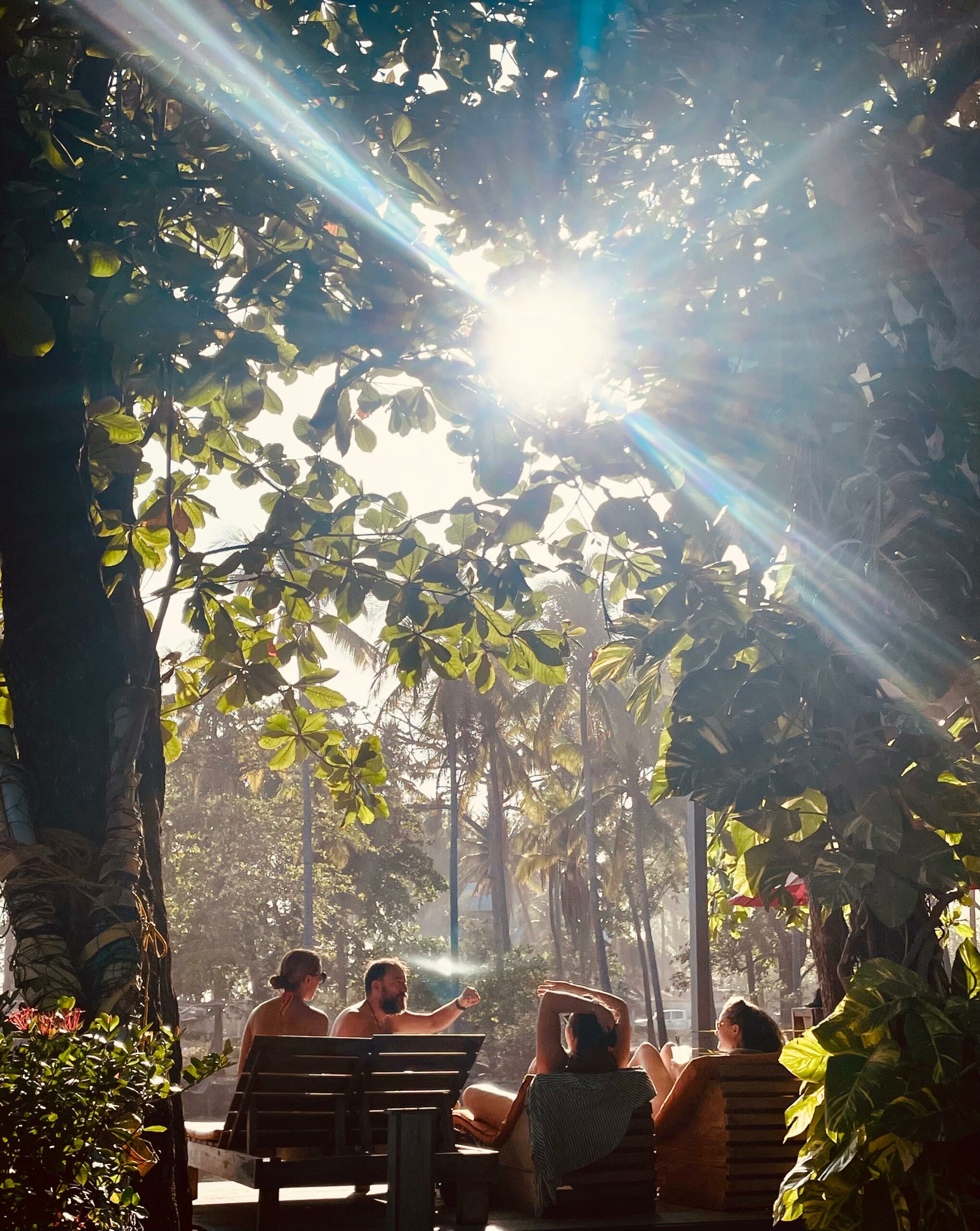 Esencia Nativa - guest accommodation