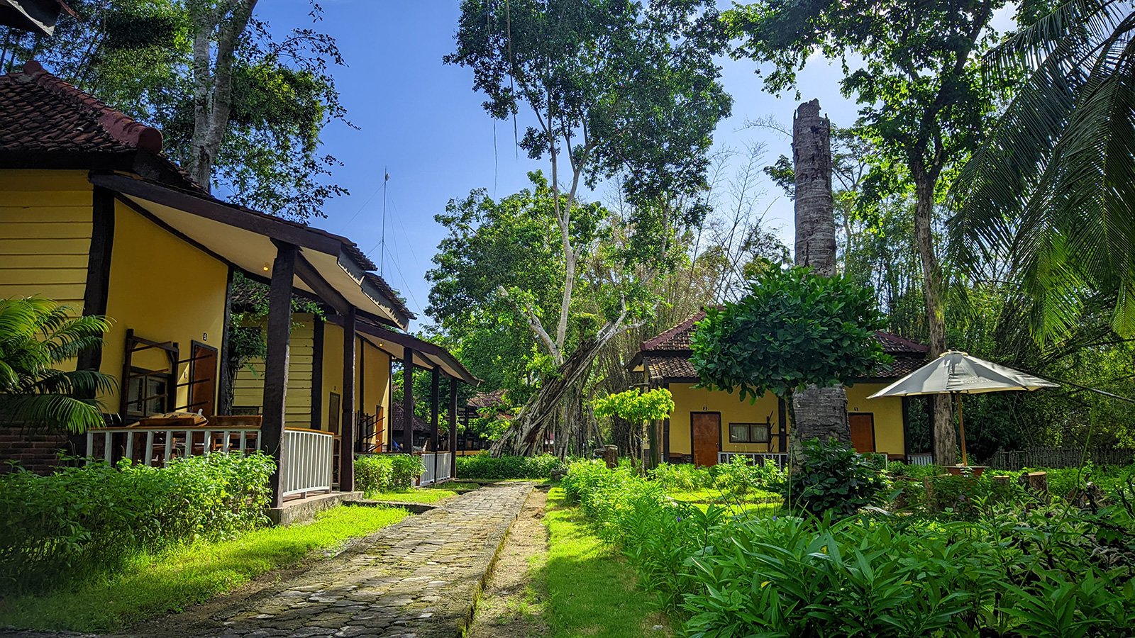 G-land Jack's Surfcamp - surf instruction