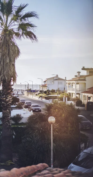 Global Surf School & Camp - surf instruction