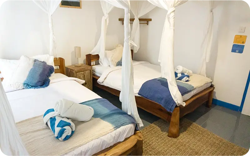 Hollow Tree's Resort - surf instruction