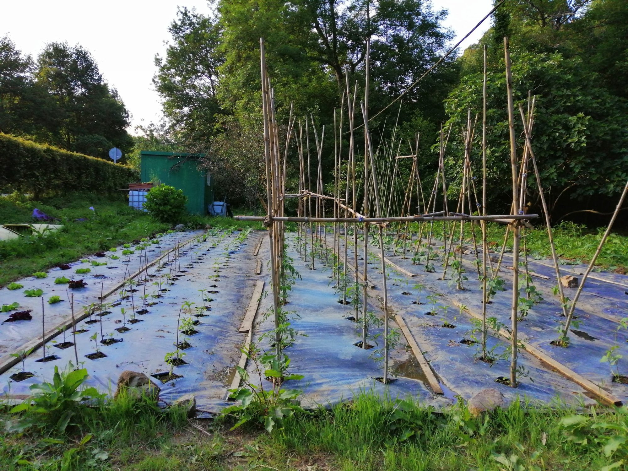 Laga Agroturismo