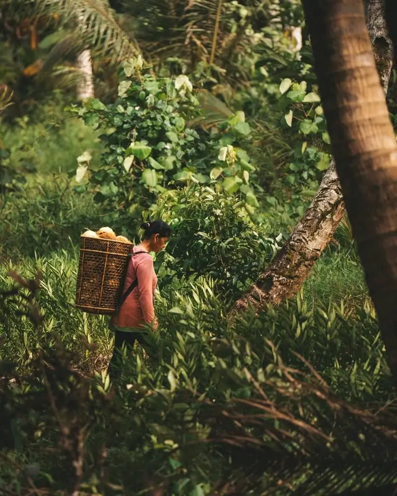 Mentawai Family Surf Camp - surf instruction