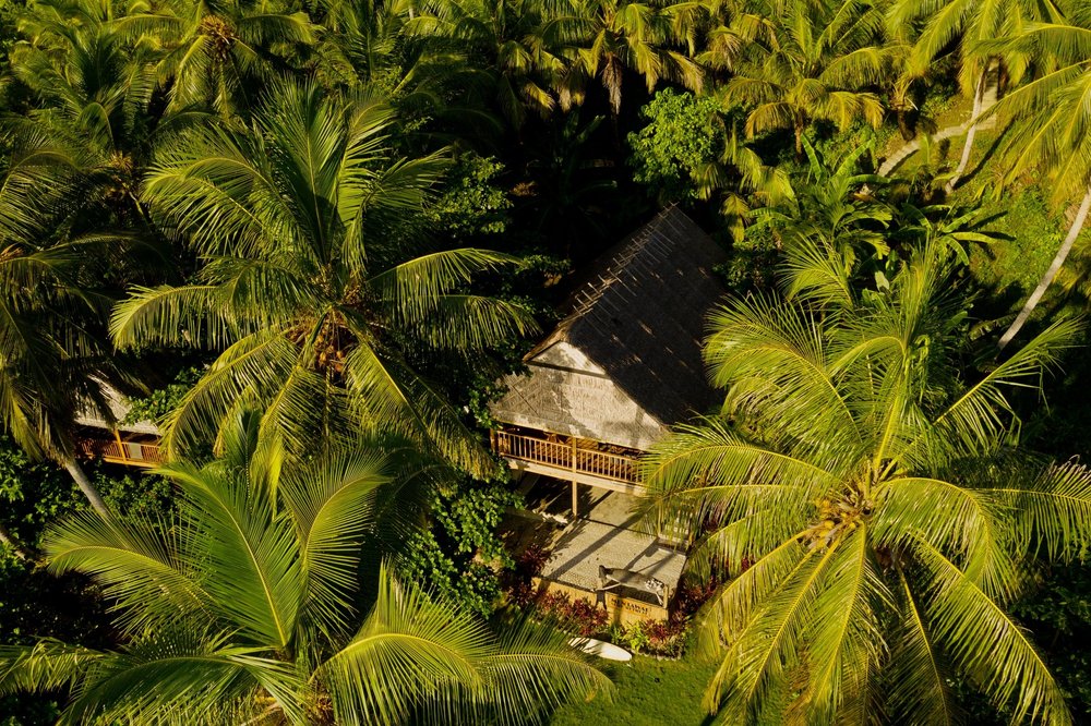 Mentawai Surf Retreat - surf instruction