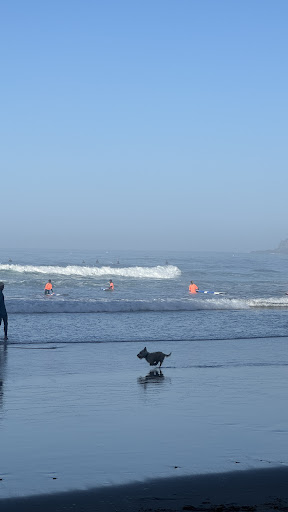 MissionToSurf Portugal - Surfcamp - surf instruction