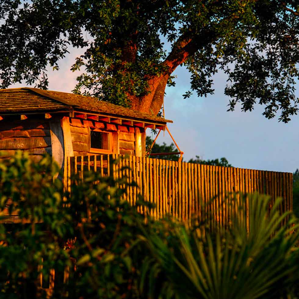 Natural Surf Lodge - Surf Camp - surf instruction