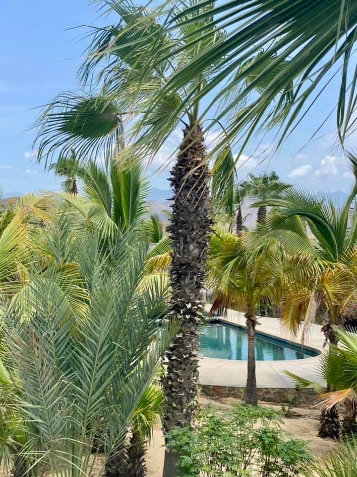 Pescadero Surf Camp - surf instruction