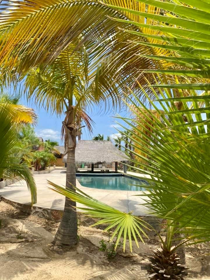 Pescadero Surf Camp - surf instruction