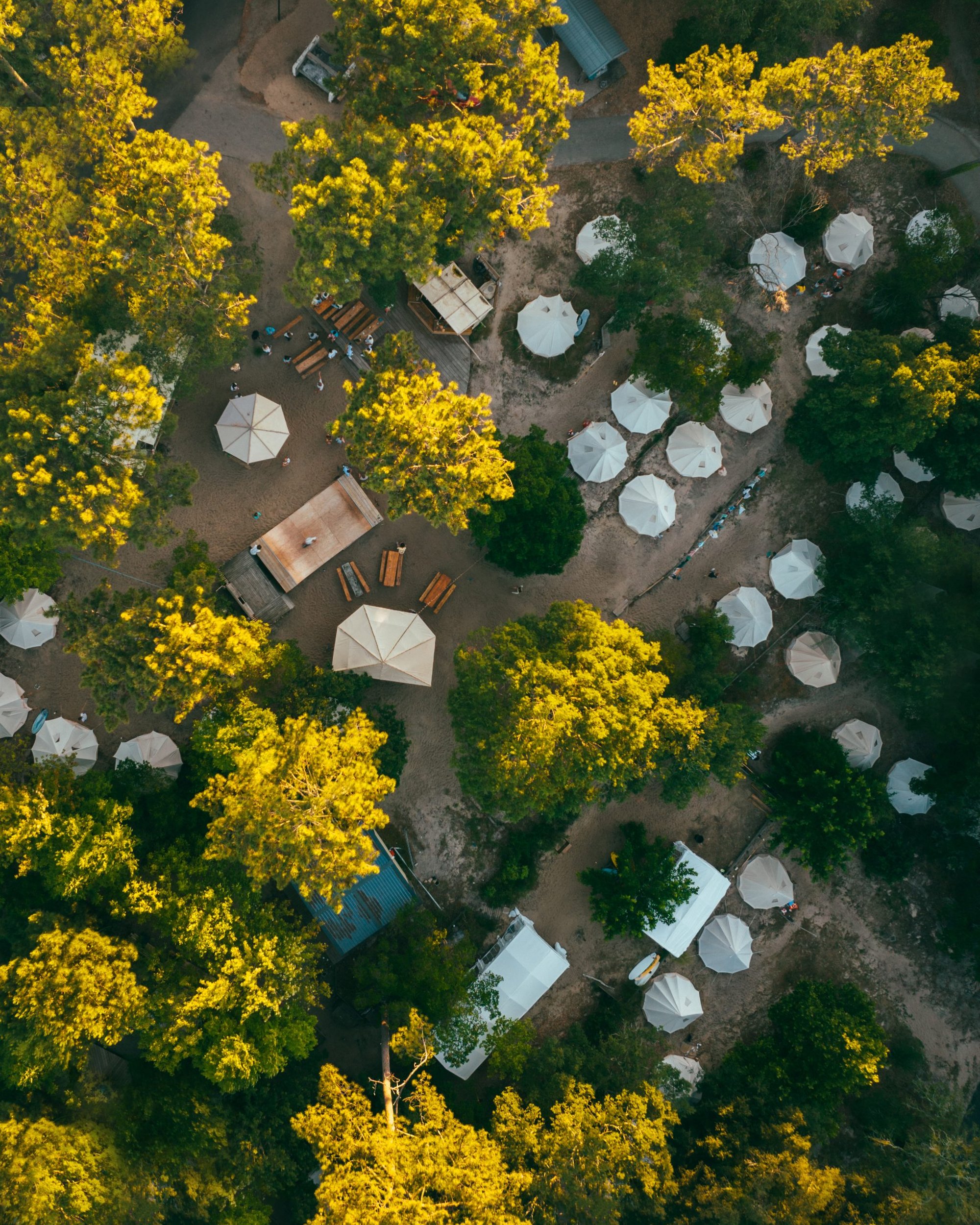 Planet Surfcamp Moliets