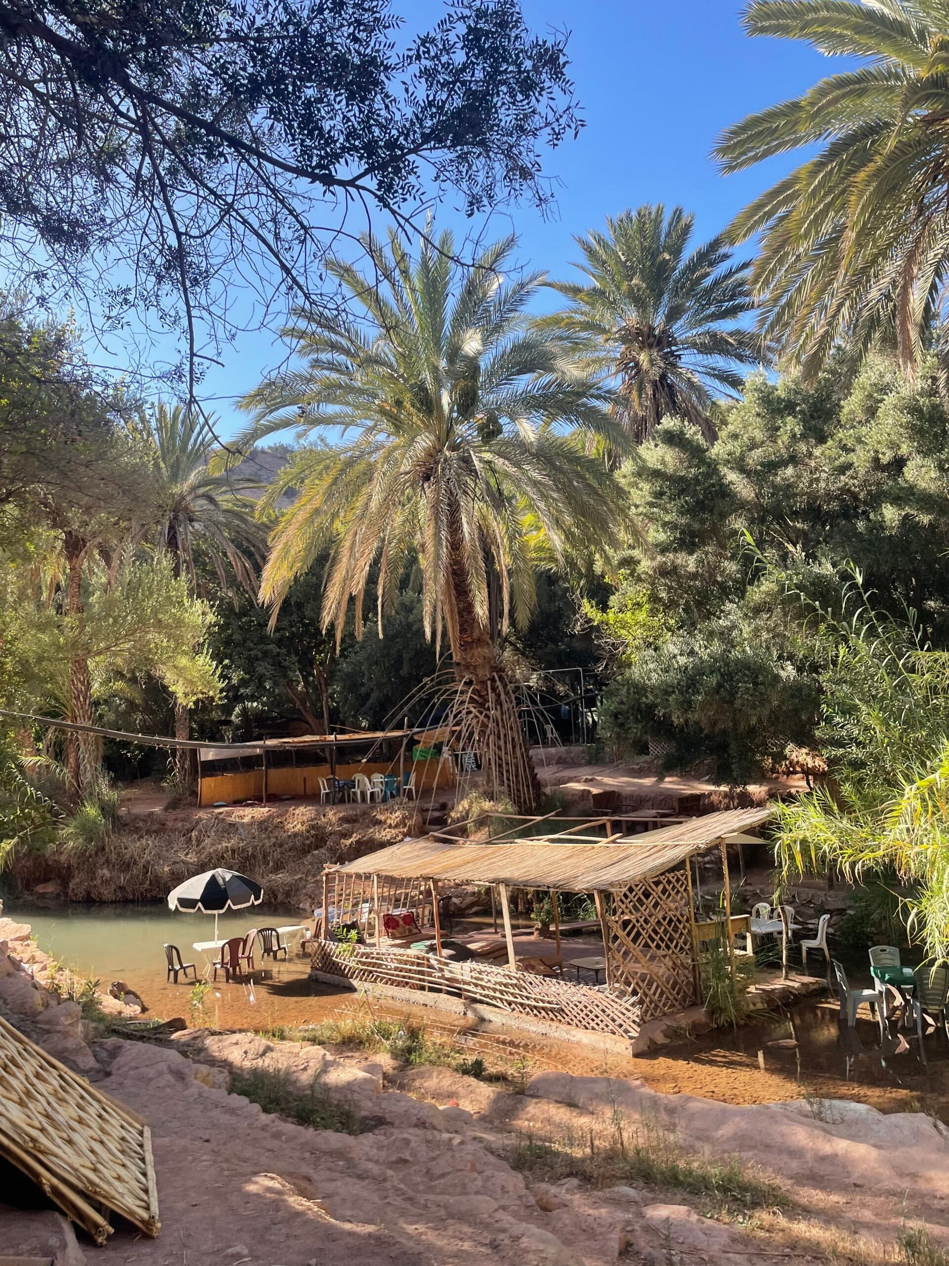 Red Carpet Surf Camp - surf instruction