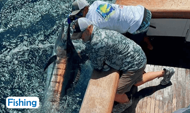 Surf Inn Hermosa - surf instruction