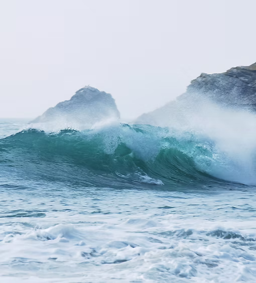 Surf N Roll sayulita - beachfront location