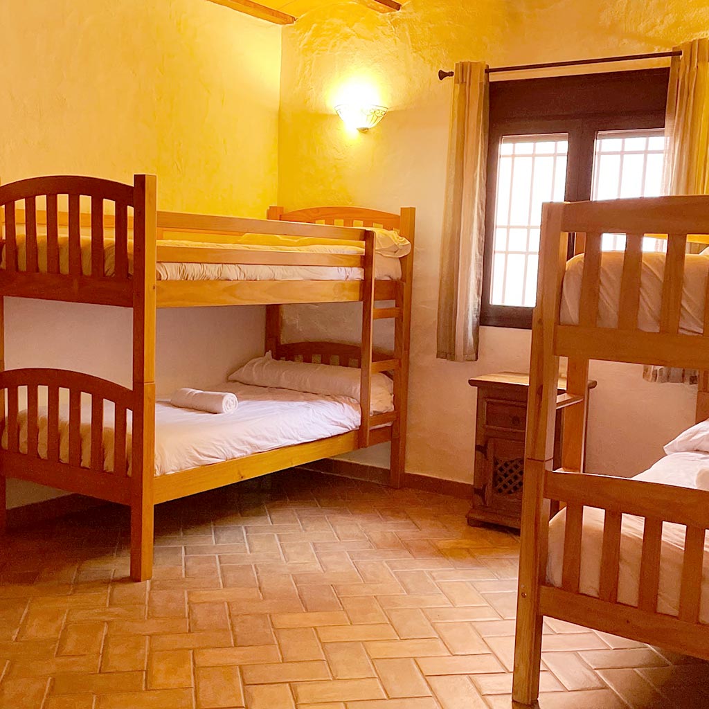 Shared Bunk Room