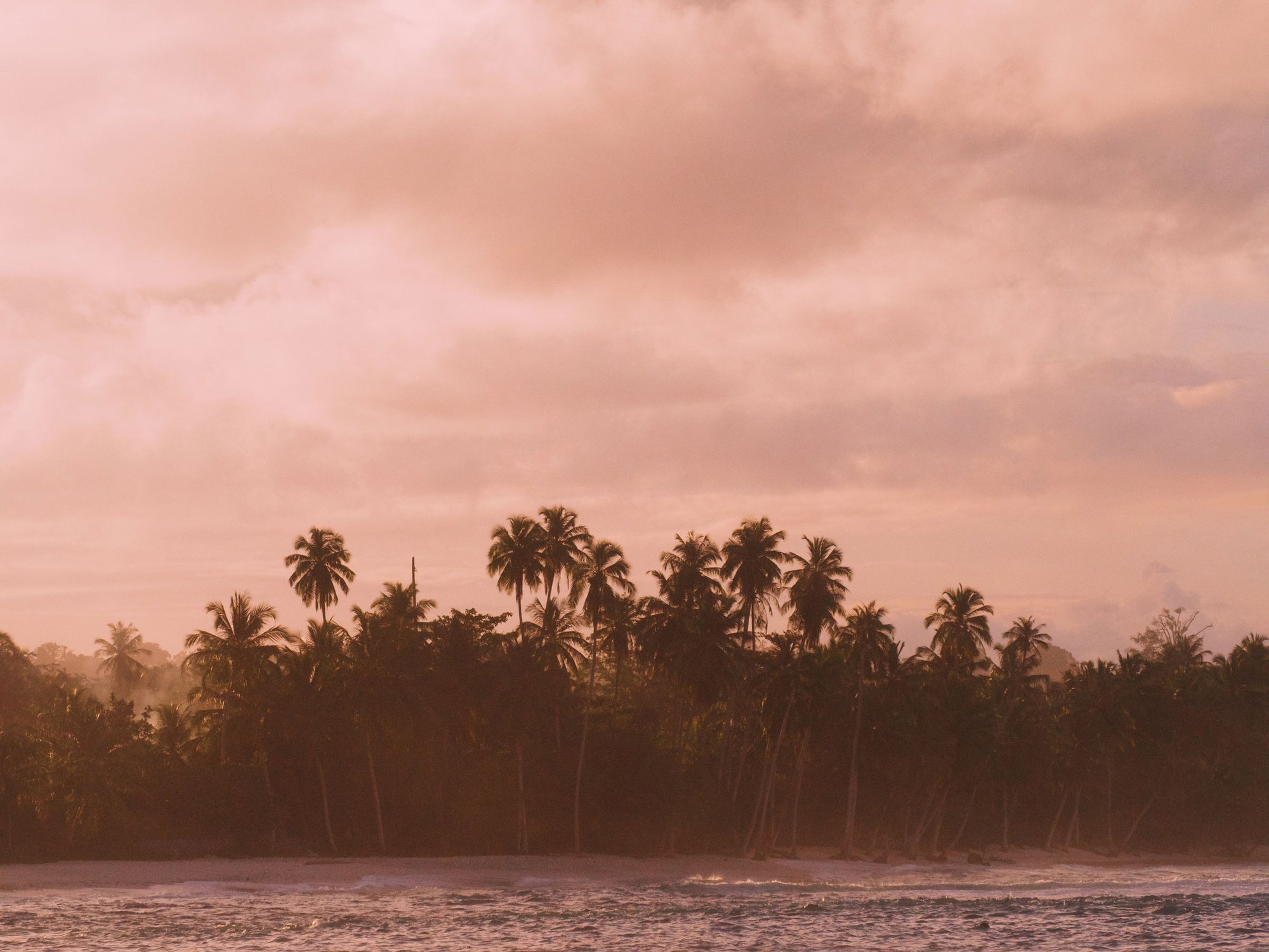 The Point Surf House