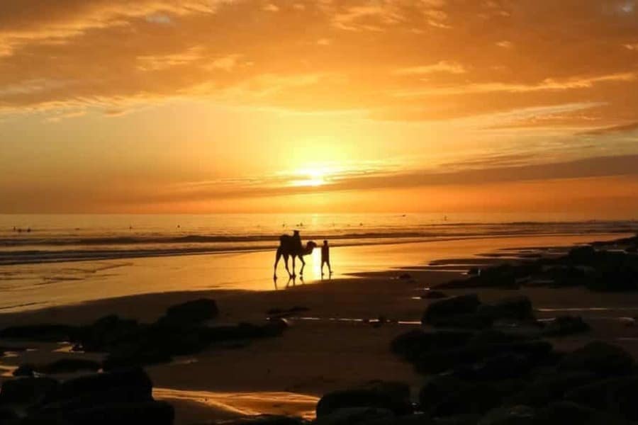 Tiziri Surf Camp Tamraght - Featured