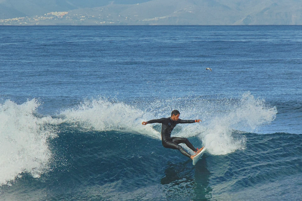 WAVE CULTURE Tenerife Surf Camp - surf instruction