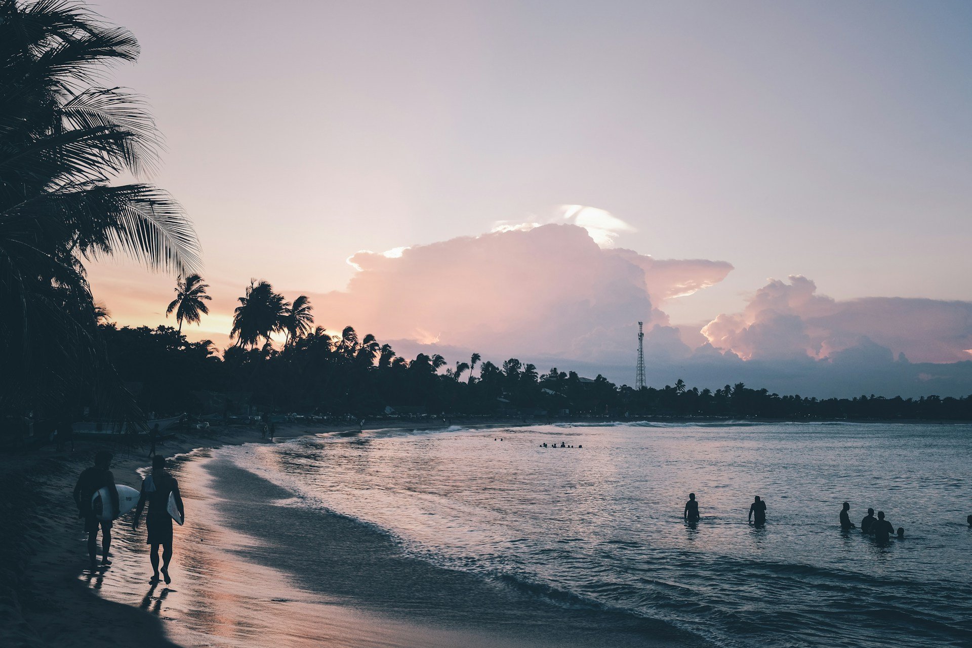 Tropical palm-lined coast. Photo: Philipp Kämmerer